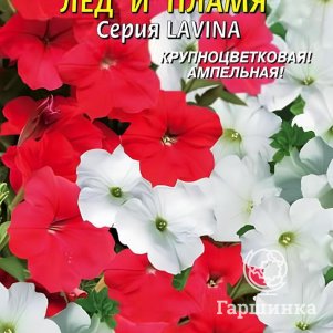 Петуния Лед и пламя F1 каскадная (серия Лавина) 10 шт, Плазменные семена
