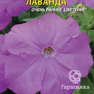 

Петуния Лаванда F1 (серия Prism) 10 шт, Плазменные семена