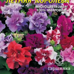 Петуния Летняя королева F1 10 шт, Плазменные семена