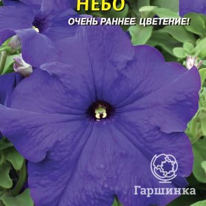 Петуния Небо F1 (серия Prism) 10 шт, Плазменные семена