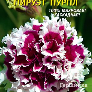 Петуния Пируэт Пурпл F1 10 шт, Плазменные семена