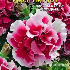 Петуния Пируэт Роуз F1 10 шт, Плазменные семена