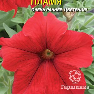 Петуния Пламя F1 (серия Prism) 10 шт, Плазменные семена