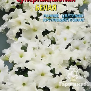 

Петуния Суперкаскадная Белая F1 10 шт, Плазменные семена