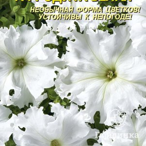 Петуния Афродита Белая крупноцветковая F1 10 шт, Плазменные семена