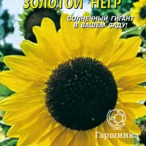 

Подсолнечник Золотой негр 12 шт, Плазменные семена