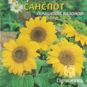 

Подсолнечник Санспот карликовый 0,5 г, Плазменные семена