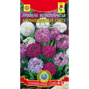 

Примула Крупноцветковая смесь мелкозубчатая 0,01 г, Плазменные семена