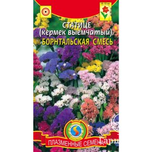 Статице кермек выемчатый Борнтальская смесь 01 г Плазменные семена 39₽