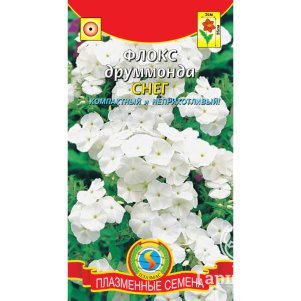 

Флокс Друммонда Снег 0,1 г, Плазменные семена