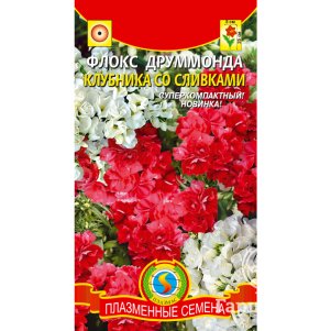 

Флокс Клубника со сливками махровый 6 шт, Плазменные семена