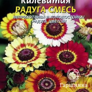 

Хризантема Радуга смесь килеватая 0,5 г, Плазменные семена