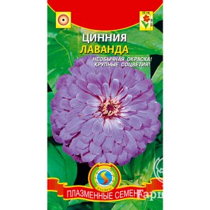 Цинния Лаванда 0,3 г, Плазменные семена