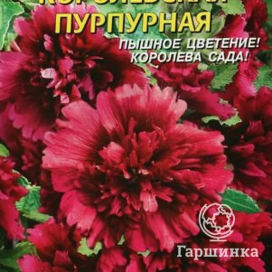 Шток-роза Королевская Пурпурная  0,1 г, Плазменные семена
