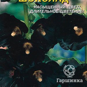 Шток-роза Шоколад 10 шт, Плазменные семена