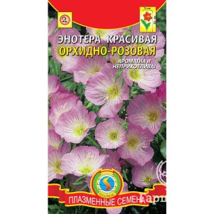 

Энотера Орхидно-розовая красивая 0,05 г, Плазменные семена