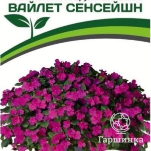 

Бальзамин Вайлет Сенсейшн F1 Уоллера крупноцветковый 5 шт. Семена Партнер