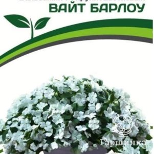 

Бальзамин Вайт Барлоу F1 Уоллера крупноцветковый 5 шт. Семена Партнер