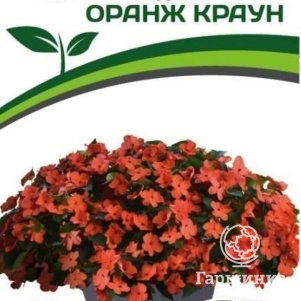 

Бальзамин Оранж Краун F1 Уоллера крупноцветковый 5 шт. Семена Партнер