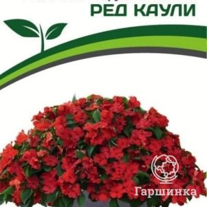 

Бальзамин Ред Каули F1 Уоллера крупноцветковый 5 шт. Семена Партнер