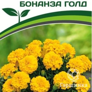 Бархатцы Бонанза Голд отклоненные 10 шт. Семена Партнер
