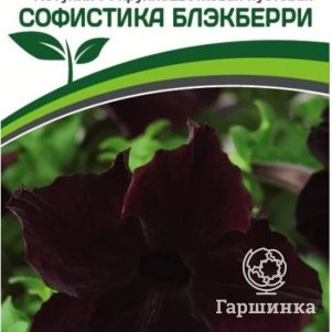 Петуния Софистика Блэкберри F1 крупноцветковая кустовая 5 шт. Семена Партнер