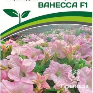 Петуния Ванесса F1 (серия Супремо) полуампельная нежно-розовая 5 шт. Семена Партнер