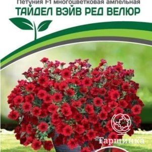 

Петуния Ред Велюр F1 (серия Тайдел Вэйв) ампельная многоцветковая 5 шт. Семена Партнер