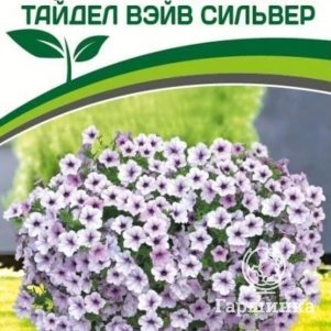 Петуния Сильвер F1 (серия Тайдел Вэйв) ампельная многоцветковая 5 шт. Семена Партнер