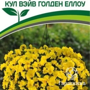 

Виола Кул Вэйв Голден Еллоу F1 ампельная 5 шт, Семена Партнер