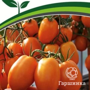 

Томат Фараденза F1 10 шт. Семена Партнер