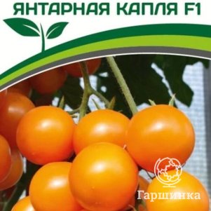 

Томат Янтарная Капля F1 10 шт. Семена Партнер