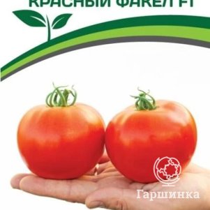 

Томат Красный Факел F1 5 шт. Семена Партнер