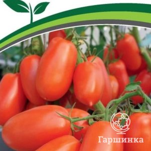 

Томат Жара F1 10 шт. Семена Партнер