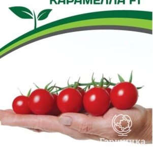 

Томат Карамелла F1 5 шт. Семена Партнер