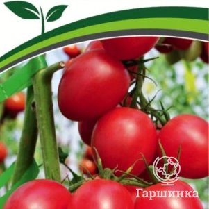 

Томат Маргоша F1 10 шт. Семена Партнер