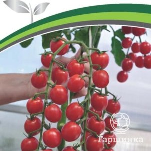 

Томат Пушка F1 5 шт. Семена Партнер