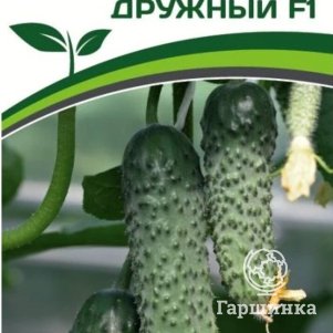 

Огурец Дружный F1 10 шт. Семена Партнер