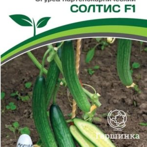 Огурец Солтис F1  5 шт. Семена Партнер
