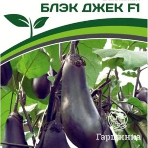 Баклажан Блэк Джек F1 10 шт, Семена Партнер