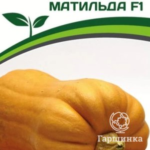 

Тыква Матильда F1 5 шт. Семена Партнер