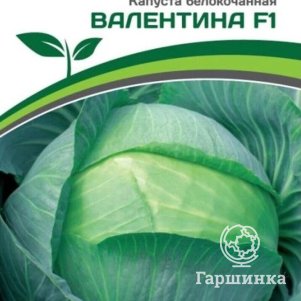 

Капуста Валентина F1 белокочанная позднеспелая 0,2 г, Семена Партнер