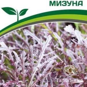 

Японская капуста Мизуна 1 г, Семена Партнер