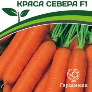 Морковь Краса Севера F1 0,5 г, Семена Партнер