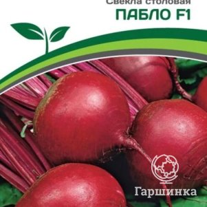 

Свекла Пабло F1 столовая 1 г, Семена Партнер
