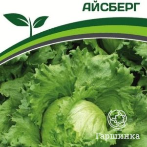 

Салат Айсберг кочанный 1 г, Семена Партнер