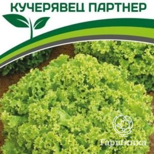 

Салат Кучерявец листовой 1 г, Семена Партнер