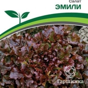 Салат Эмили листовой 1 г Семена Партнер 79₽