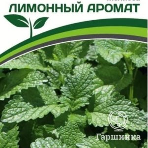 

Мелисса Лимонный Аромат 0,2 г, Семена Партнер