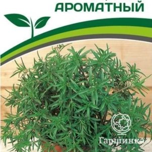 

Чабер Ароматный садовый 0,5 г. Семена Партнер